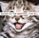 The Kill (single) 2011
