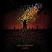 Embers 2024