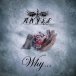 Why (single) 2012