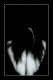 LichtGestalt